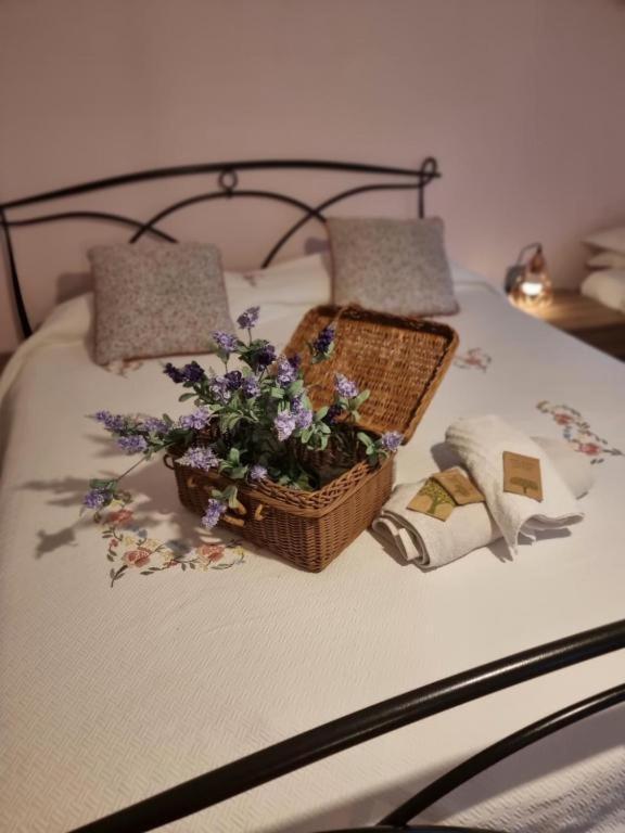 Mary House @ Appartement Sondrio Buitenkant foto